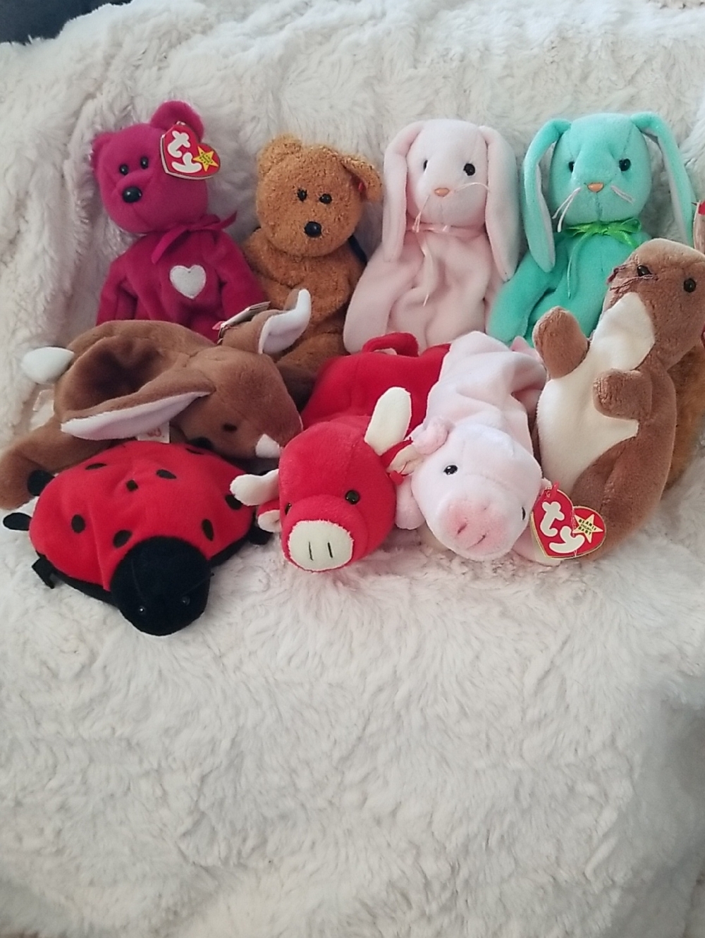TY Beanie Baby Lot - Bears, Bunnies, & Barnyard Animals